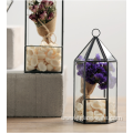 Square Clear Glass Plant Vase Flower Terrarium